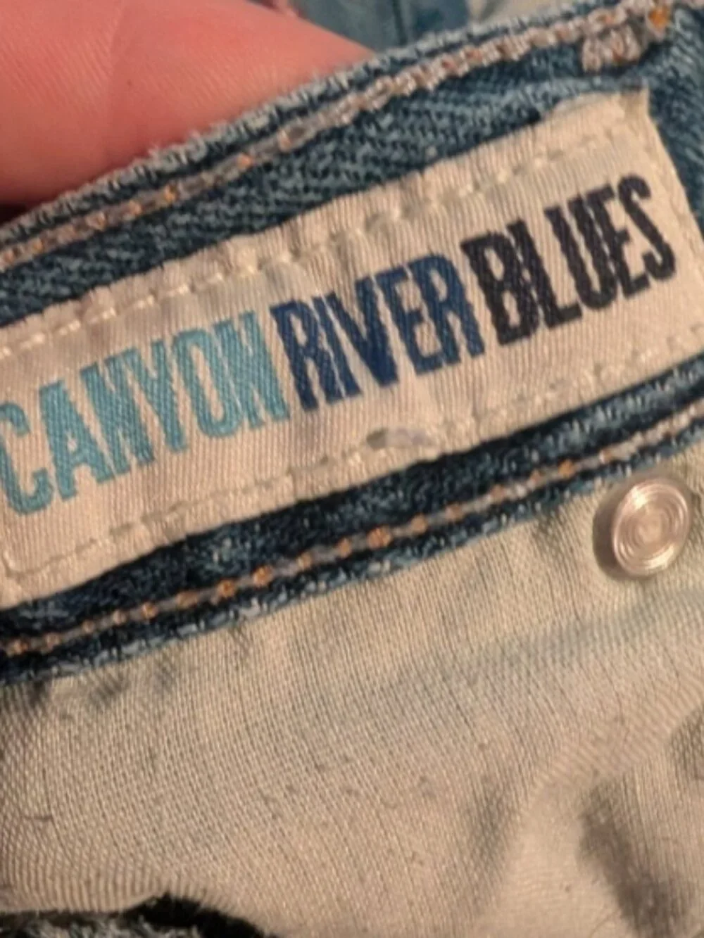 Vintage Y2K Canyon River Blues Jeans Girls 2t Embroidered Floral Butterfly
